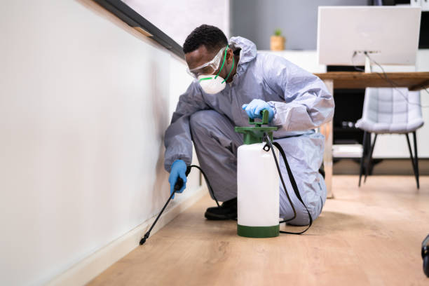 Best Bed Bug Extermination  in Hanover Park, IL